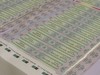 Наказание за&nbsp;подделку акцизных марок может быть ужесточено