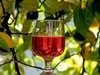 Компания «Цимлянские вина» планирует развивать винный туризм 