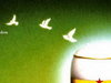 Heineken будет продвигать в&nbsp;Китае премиальное пиво