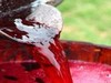 Росалкогольрегулирование готово упростить получение лицензии  для малых виноделов