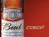 Поражение Bud