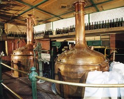 Производство пива Heineken в Чехии в 2009 году сократилось на 5,2%