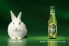 Carlsberg поднимет цены на&nbsp;пиво в&nbsp;России